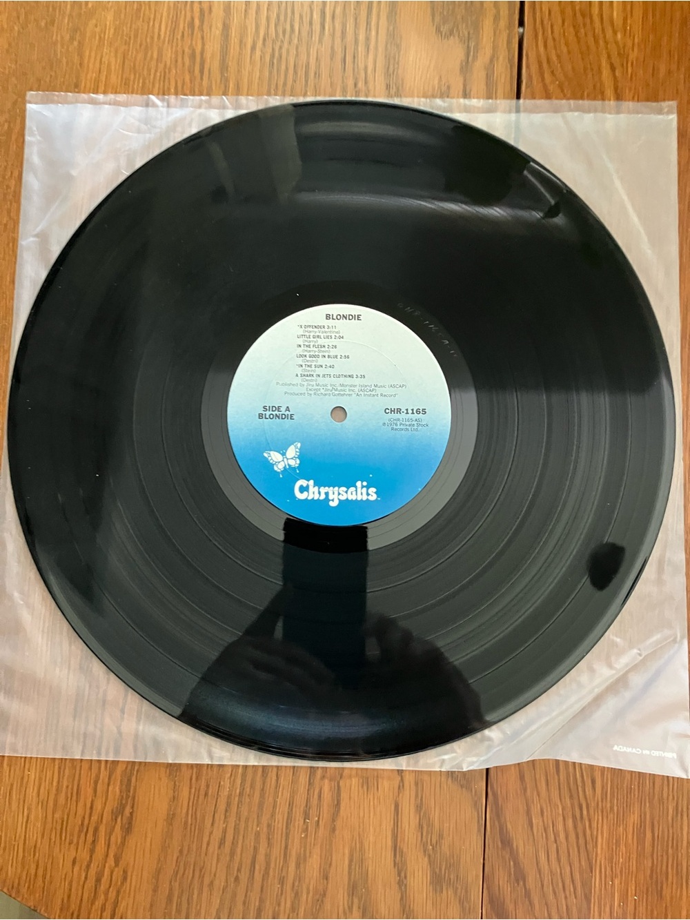 Vintage 1977 Blondie “Blondie” Debut Album Chrysalis Reissue CHR-1165 - Picture 6 of 8
